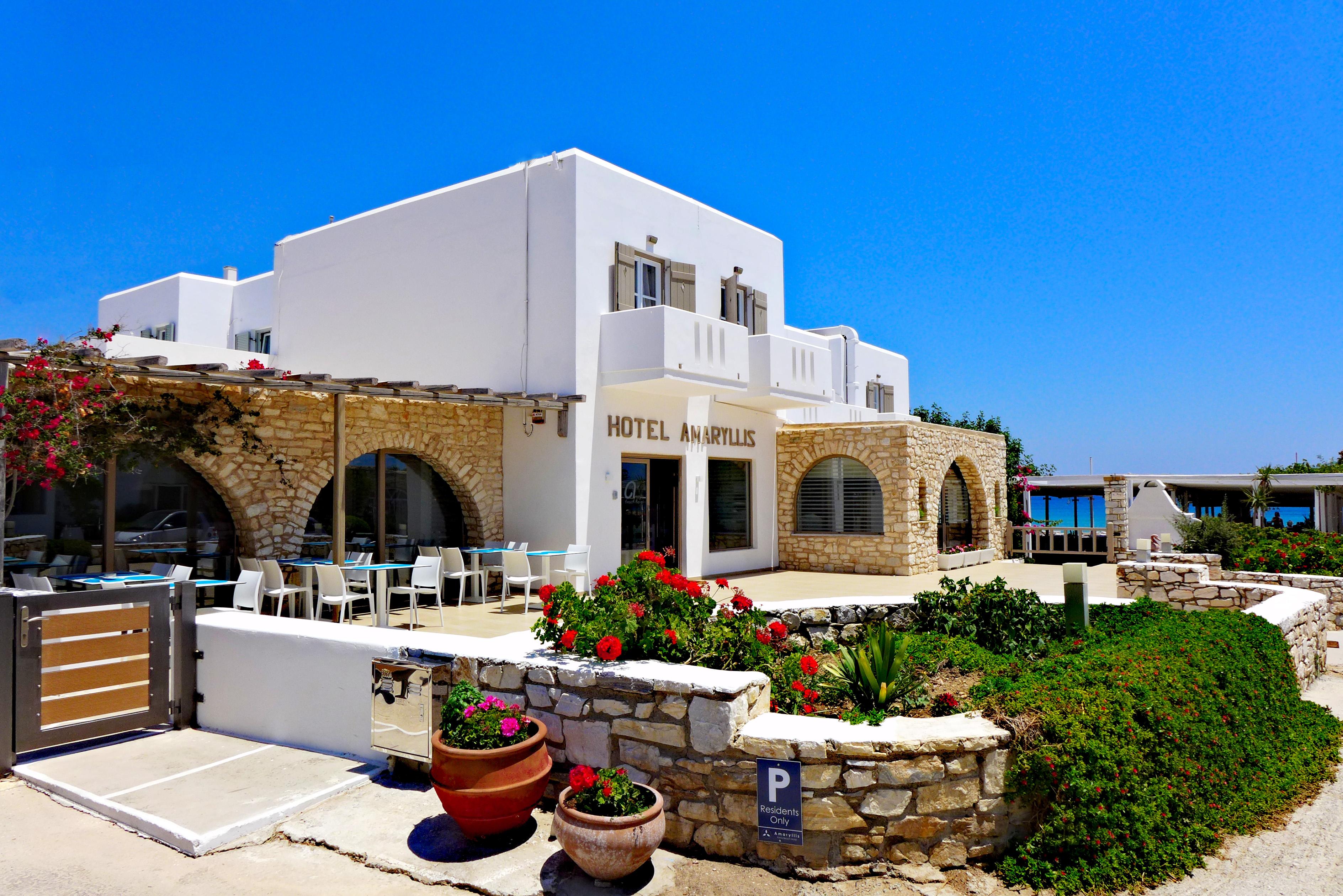 Amaryllis Chrisi Akti (Paros)